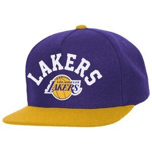 Mitchell & Ness Los Angeles Lakers Rev Underarch Snap Cap Purple/Yellow New